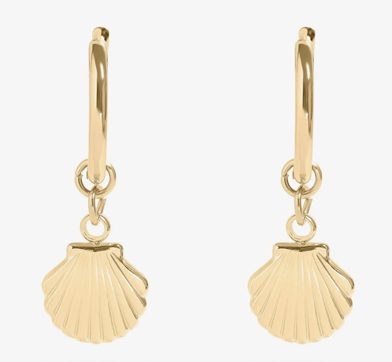 Seashell Gold Huggie Earrings